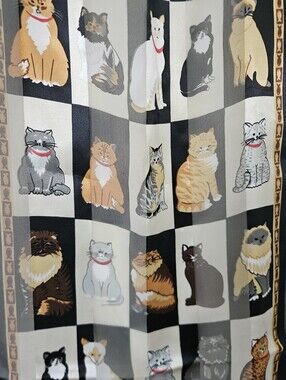 Scarf Womens Neck Long Cat Lady Sheer Statement 58 x 13 inch Rectangle Chiffon